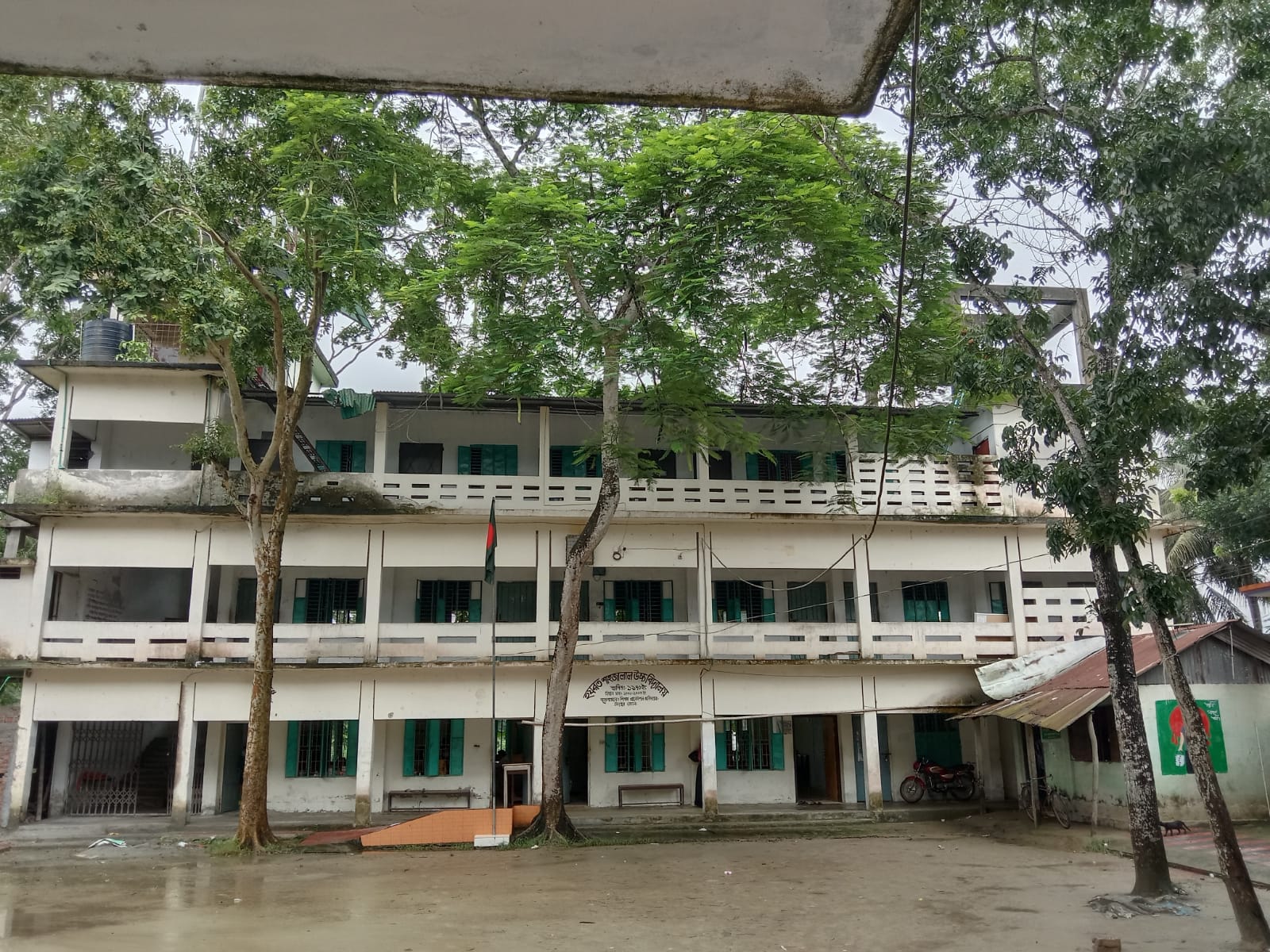 School Activity 6